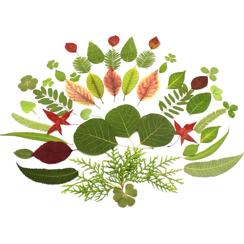 微信图片_20191105153526.jpg 微信图片_20191105153526.jpg