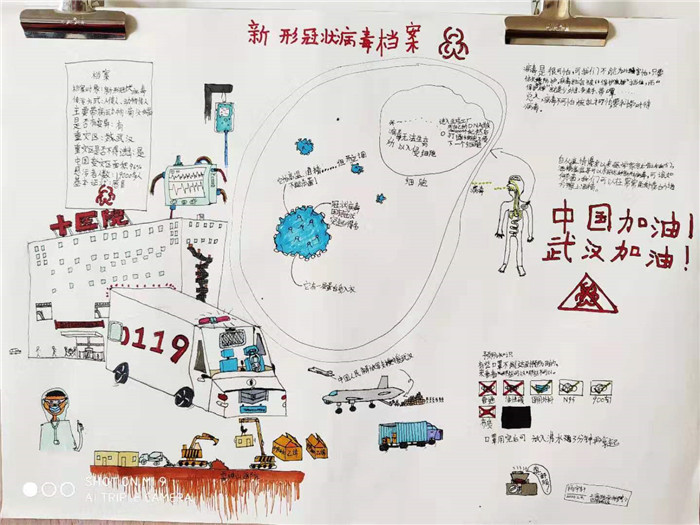 《新型冠状病毒档案》杨宇轩  11岁.jpg